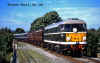 31110elr.jpg (433040 bytes)