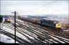 40198-Holbeck-1977-PRC.jpg (416421 bytes)