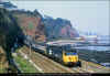 50011-Dawlish-Horse-Cove-200986-PRC.jpg (459458 bytes)