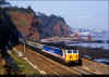 50017-Dawlish-200986-PRC.jpg (578284 bytes)