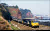 50029-Dawlish-200986-PRC.jpg (719234 bytes)