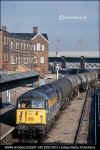 56049-Derby-030297-6Z92-Lindsey-Derby-St-Andrews.jpg (309754 bytes)