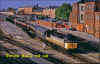 56056derby.jpg (450227 bytes)